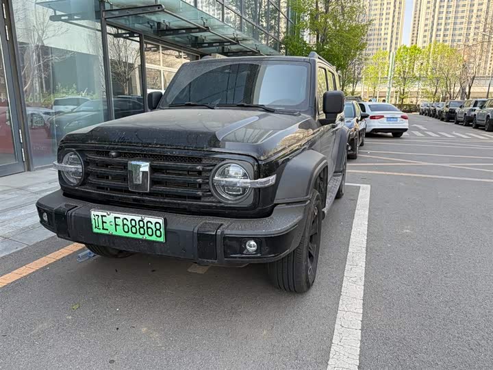 Tank 300 Hybrid 2025 2025款 Hi4-T 37.1kWh