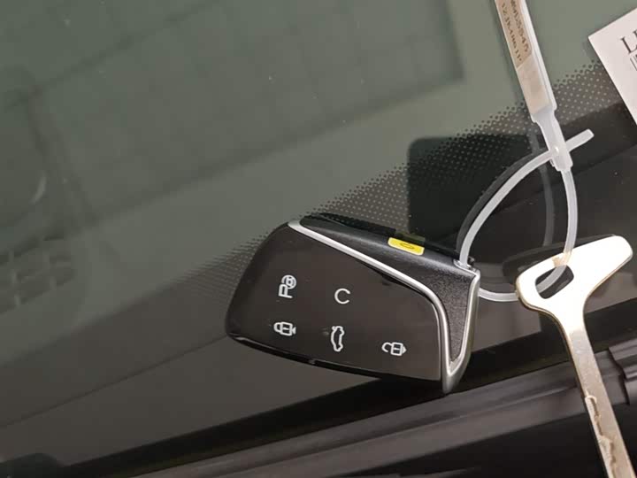 Фото 9 - Dongfeng Aeolus L7