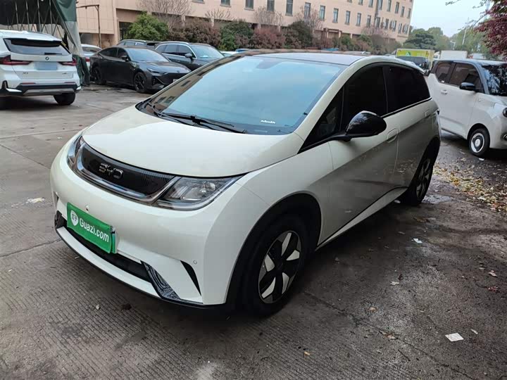 Фото 1 - BYD Dolphin