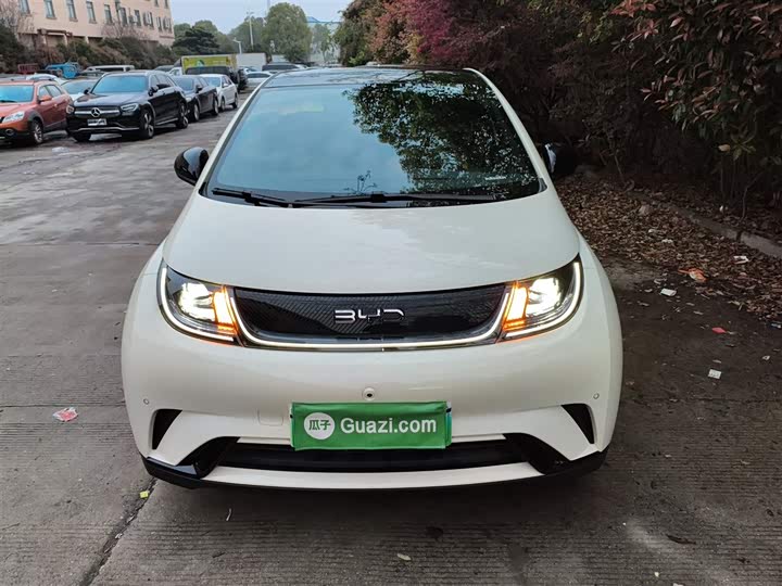 Фото 3 - BYD Dolphin