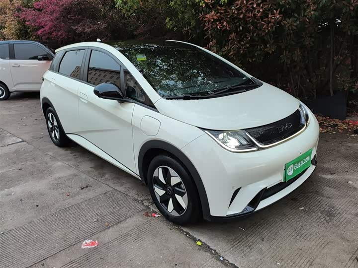 Фото 4 - BYD Dolphin