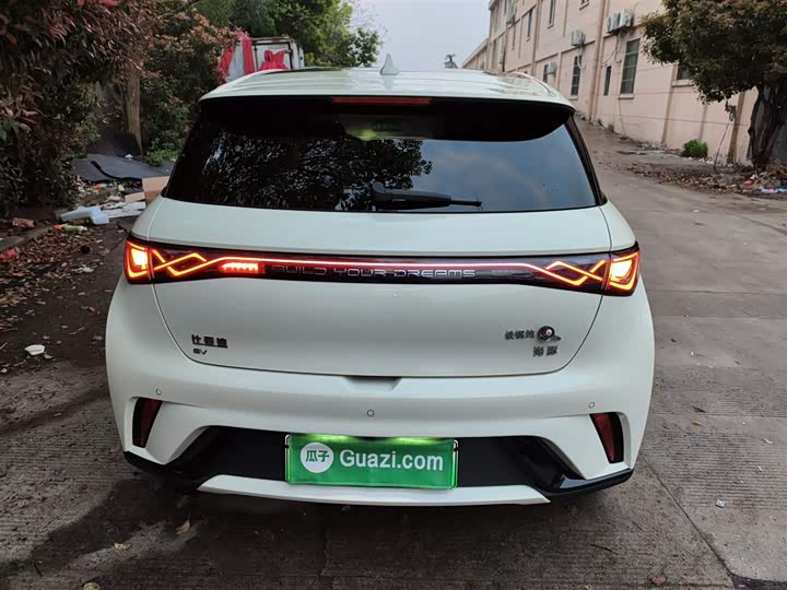 Фото 6 - BYD Dolphin