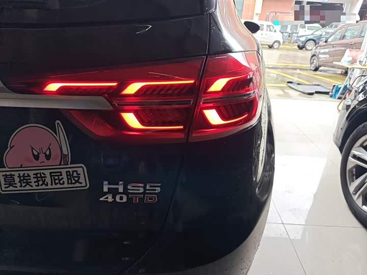 Hongqi HS5 2019 2019款 2.0T 智联旗享版