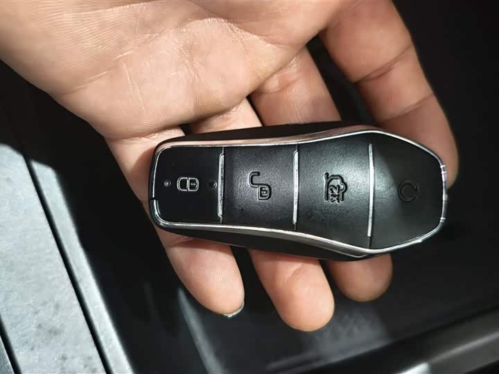 BYD Yuan Up 2024 2024款 401KM 领先型