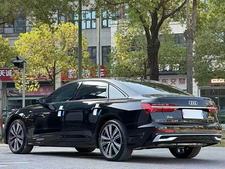 Audi A6L 2024 2024款 45 TFSI quattro 臻选动感型