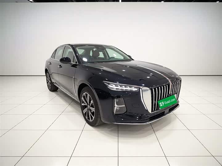 Hongqi H5 Hybrid 2025 2025款 170 超混版
