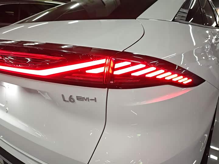 Фото 8 - Geely Galaxy L6