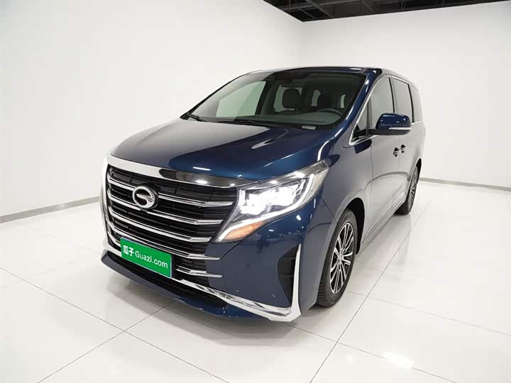 GAC Trumpchi M8 2021 2021款 领秀系列 390T 至尊版