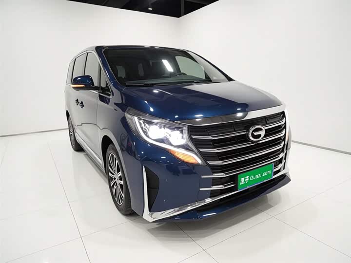 GAC Trumpchi M8 2021 2021款 领秀系列 390T 至尊版