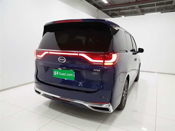 GAC Trumpchi M8 2021 2021款 领秀系列 390T 至尊版