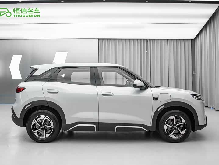 BYD Yuan Up 2025 2025款 智驾版 401KM 领先型