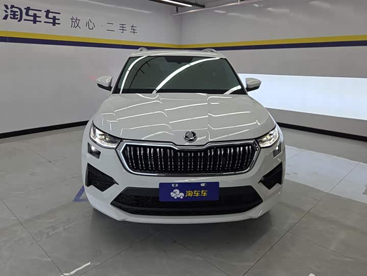 Skoda Kodiaq 2024 2024款 TSI330 5座两驱实力版