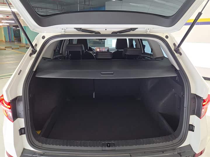 Skoda Kodiaq 2024 2024款 TSI330 5座两驱实力版