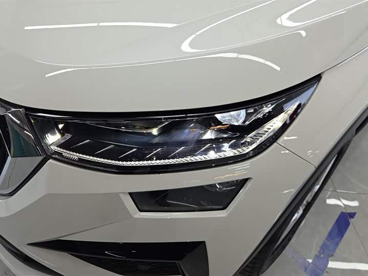 Skoda Kodiaq 2024 2024款 TSI330 5座两驱实力版