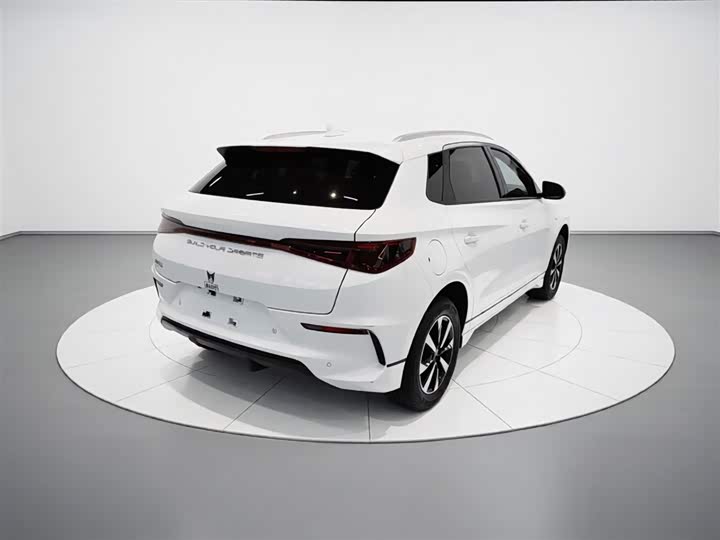 2024 BYD E2