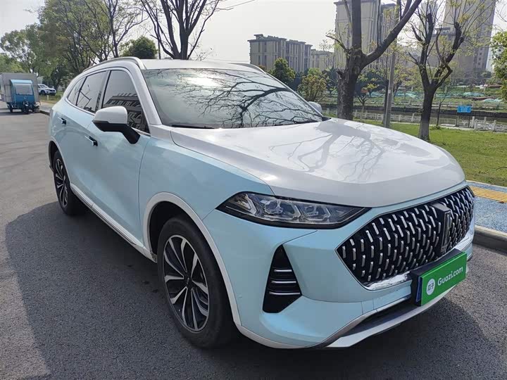 Wey Mocha 2021 2021款 2.0T 两驱特浓版
