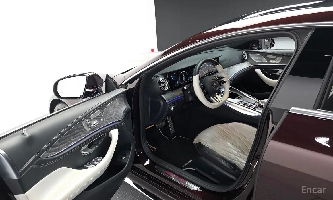 Mercedes-Benz AMG GT 2014 4Door 43 4MATIC+ Special Edition