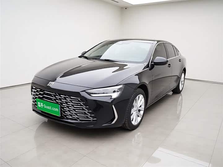 Buick Regal 2025 2025款 28T 纵享版