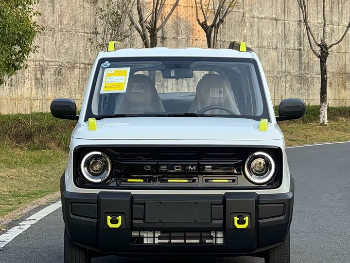 صورة 2 - Geely Galaxy Panda Mini