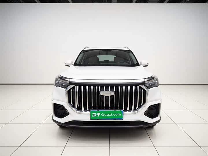 Geely Okavango L 2024 2024款 2.0T DCT尊贵型