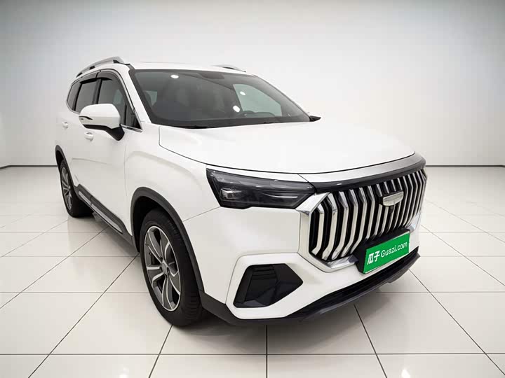 Geely Okavango L 2024 2024款 2.0T DCT尊贵型