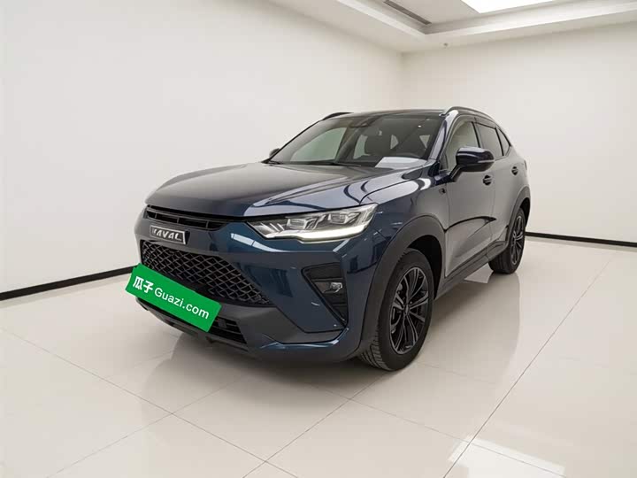 Haval H6S 2022 2022款 2.0T 两驱智跑版
