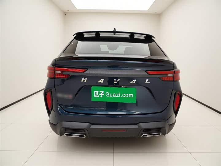 Haval H6S 2022 2022款 2.0T 两驱智跑版