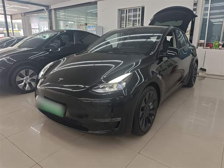 Tesla Model Y 2022 2022款 Performance高性能全轮驱动版
