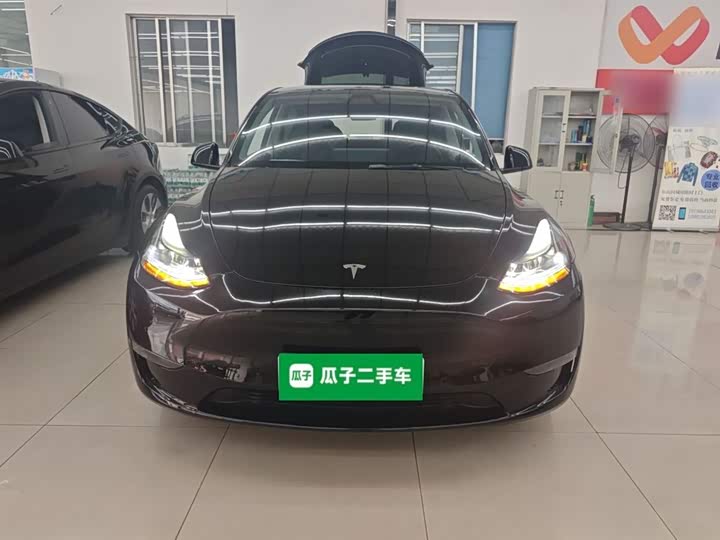 Tesla Model Y 2022 2022款 Performance高性能全轮驱动版