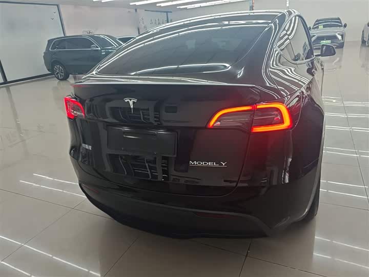 Tesla Model Y 2022 2022款 Performance高性能全轮驱动版