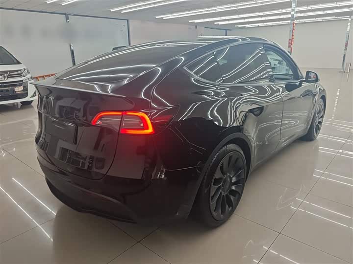 Tesla Model Y 2022 2022款 Performance高性能全轮驱动版