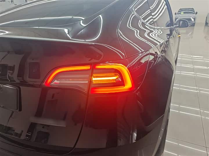 Tesla Model Y 2022 2022款 Performance高性能全轮驱动版