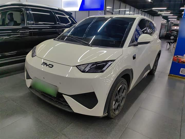 BYD Seagull 2025 2025款 智驾版 305km 自由版