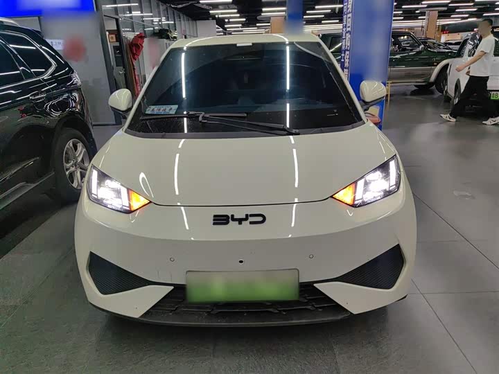 BYD Seagull 2025 2025款 智驾版 305km 自由版