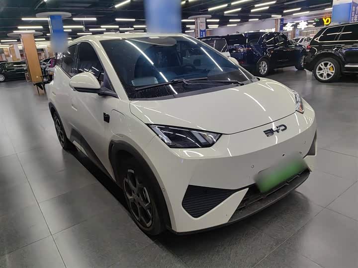 BYD Seagull 2025 2025款 智驾版 305km 自由版