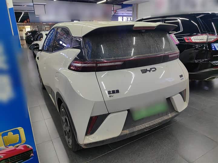 BYD Seagull 2025 2025款 智驾版 305km 自由版