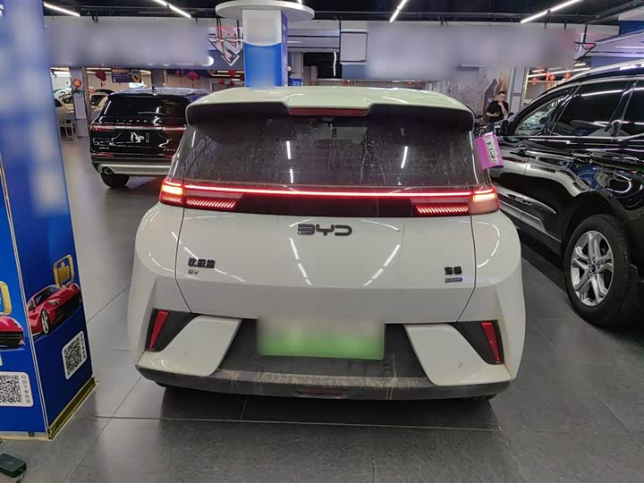 BYD Seagull 2025 2025款 智驾版 305km 自由版