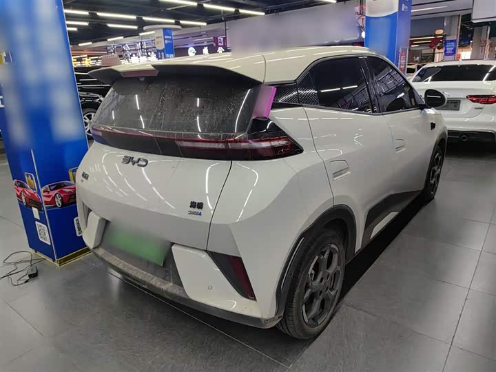 BYD Seagull 2025 2025款 智驾版 305km 自由版