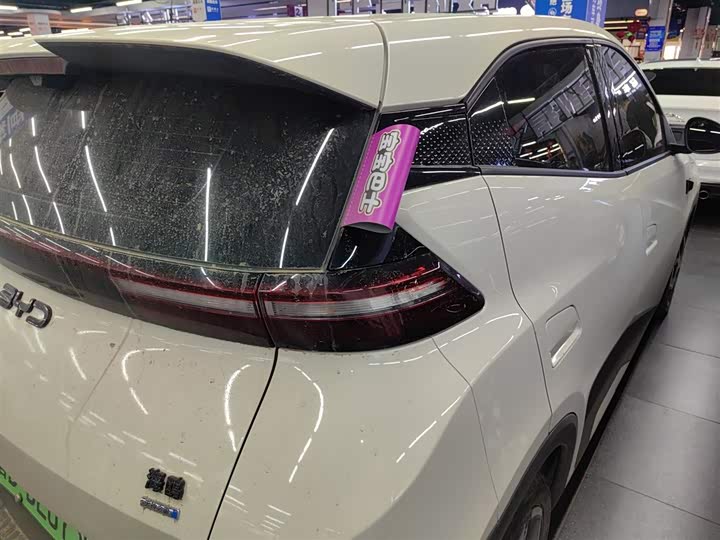 BYD Seagull 2025 2025款 智驾版 305km 自由版