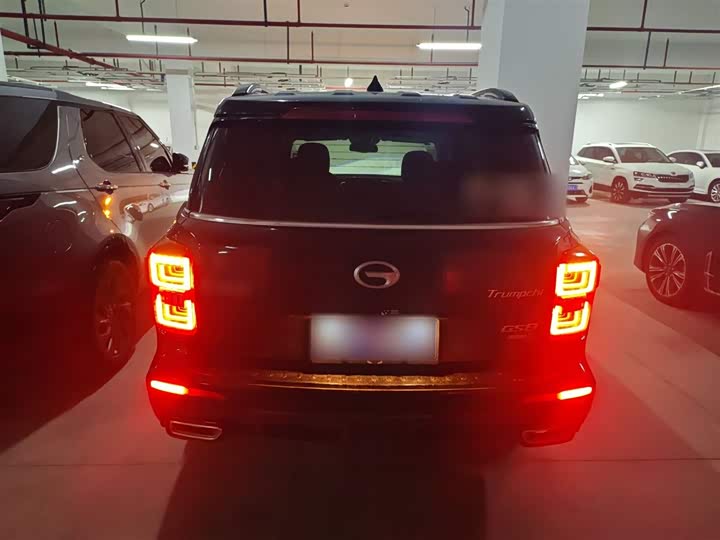 GAC Trumpchi GS8 2021 2021款 390T 两驱暗夜骑士版