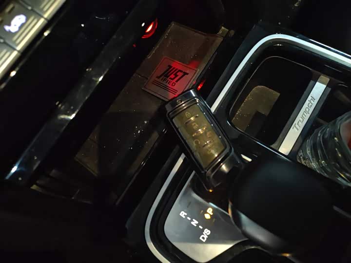 GAC Trumpchi GS8 2021 2021款 390T 两驱暗夜骑士版