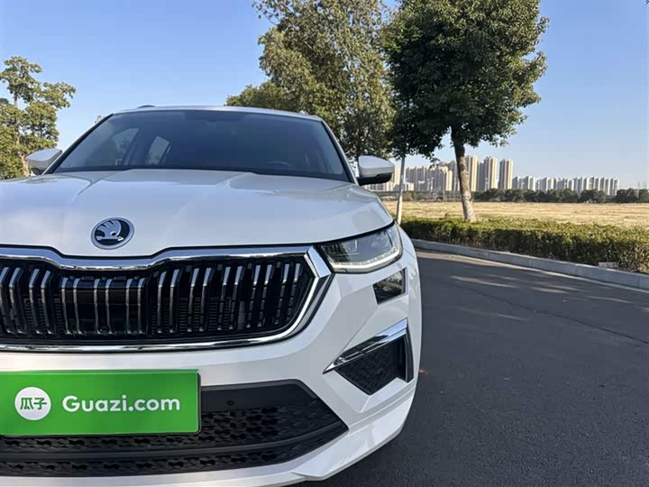 Skoda Kodiaq 2022 2022款 TSI330 7座两驱奢享版