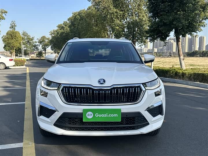 Skoda Kodiaq 2022 2022款 TSI330 7座两驱奢享版