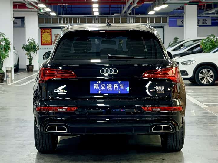Zdjęcie 5 - Audi Q5L