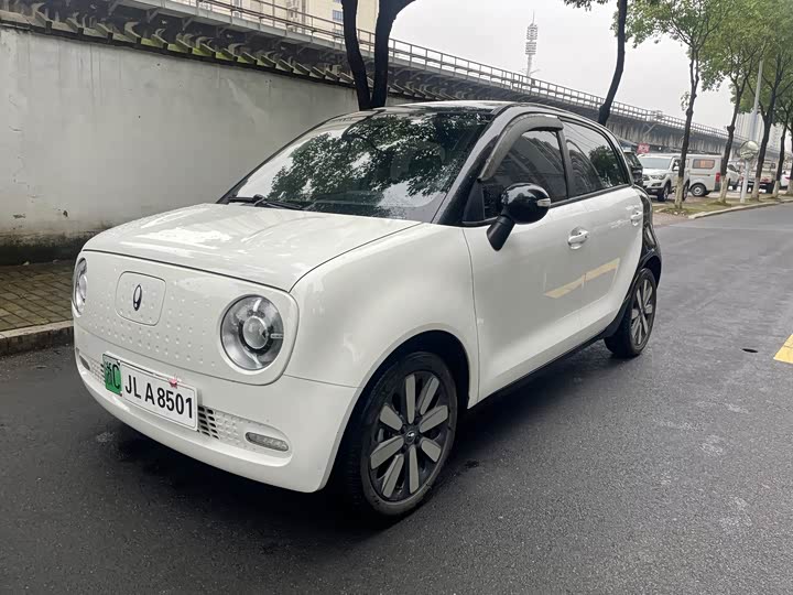 Ora Black Cat 2021 2021款 351km 豪华型