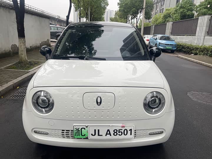 Ora Black Cat 2021 2021款 351km 豪华型