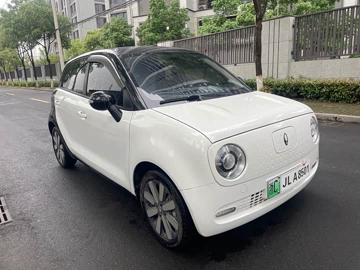 Ora Black Cat 2021 2021款 351km 豪华型