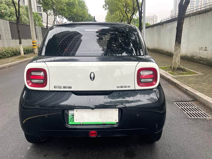 Ora Black Cat 2021 2021款 351km 豪华型