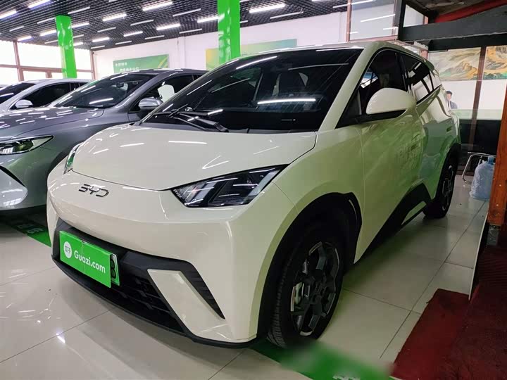 BYD Seagull 2025 2025款 305km 自由版
