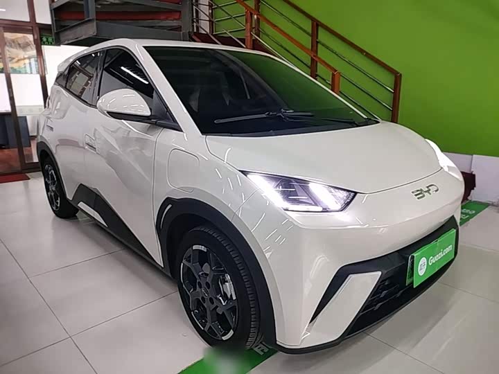 BYD Seagull 2025 2025款 305km 自由版